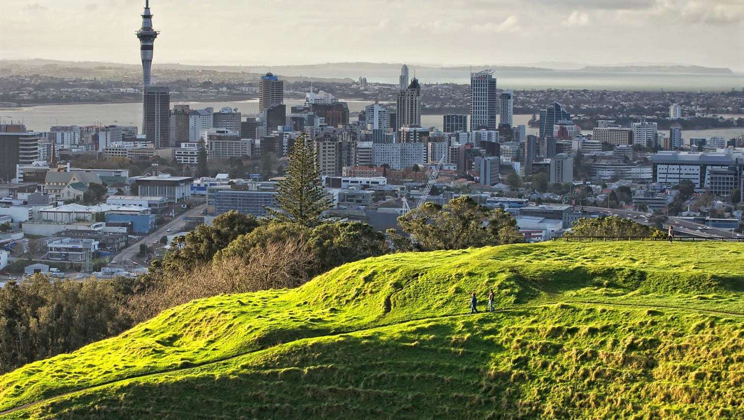 1 Great Day Auckland City Premium Tour | Private Tour