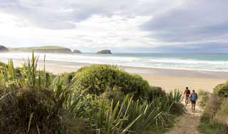 new zealand tours catlins otago 3 weeks self drive tour holiday package honeymoon trips