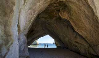 new zealand tours coromandel cathedral cove holidays new zealand self drive tour operator